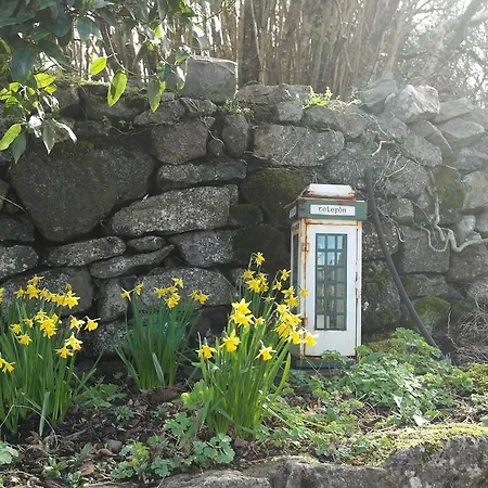 Hazelwood Bed & Breakfast Ballyvaughan