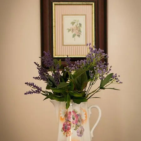 Bed & Breakfast Hazelwood