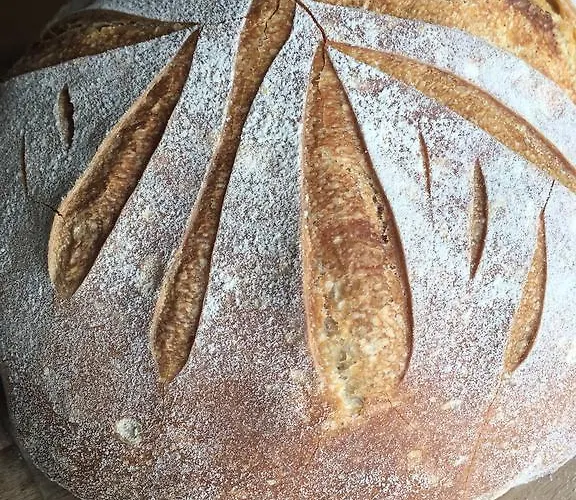 Frühstückspension Hazelwood 4*