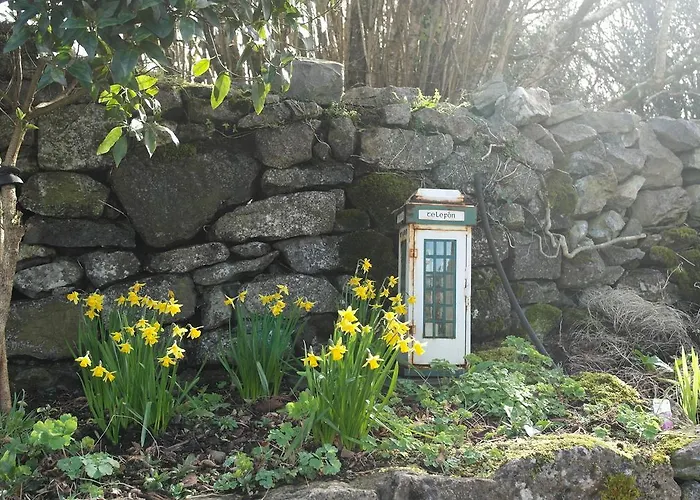 Hazelwood Bed & Breakfast Ballyvaughan