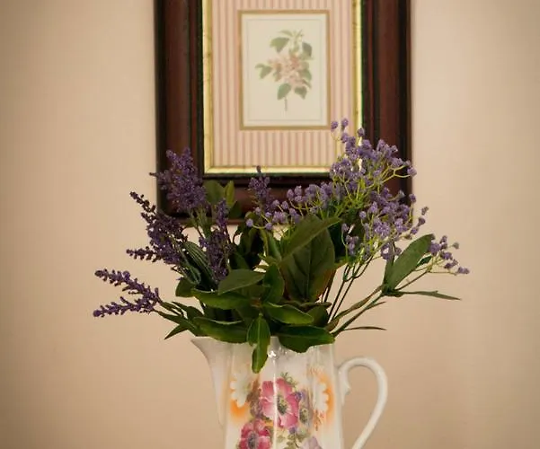 Bed & Breakfast Hazelwood